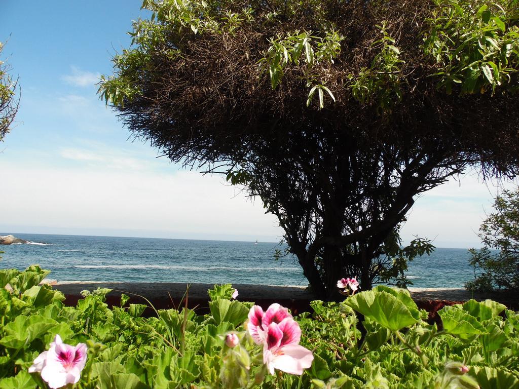 Hostal Tunquelen Valparaíso Zewnętrze zdjęcie